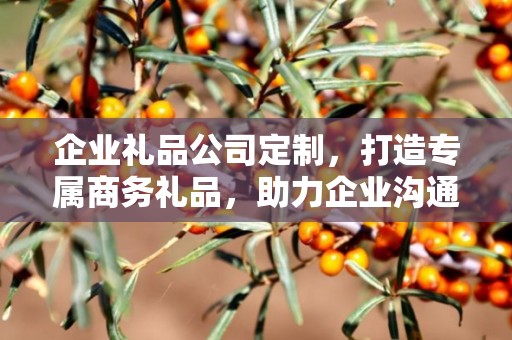 企业礼品公司定制，打造专属商务礼品，助力企业沟通与发展