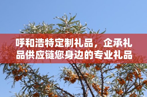 呼和浩特定制礼品，企承礼品供应链您身边的专业礼品定制公司