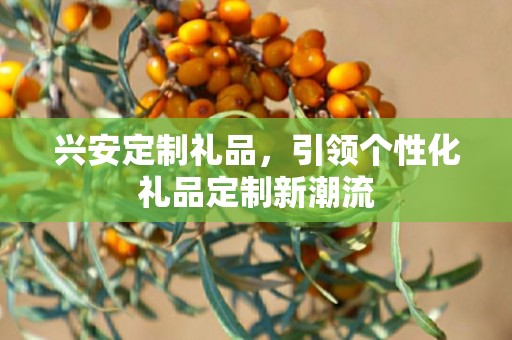兴安定制礼品，引领个性化礼品定制新潮流