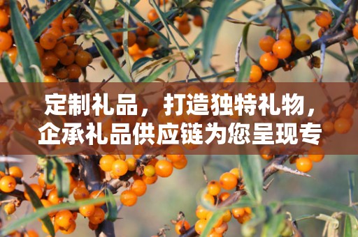 定制礼品，打造独特礼物，企承礼品供应链为您呈现专属之选